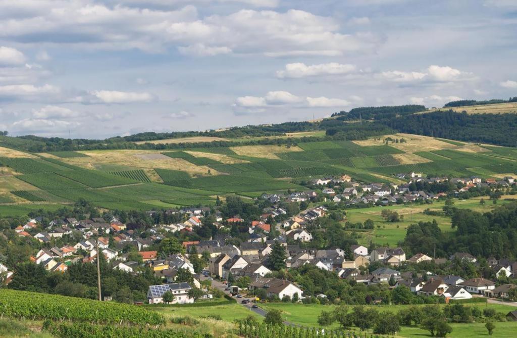 Haus Elfriede Hotel Konz Buitenkant foto